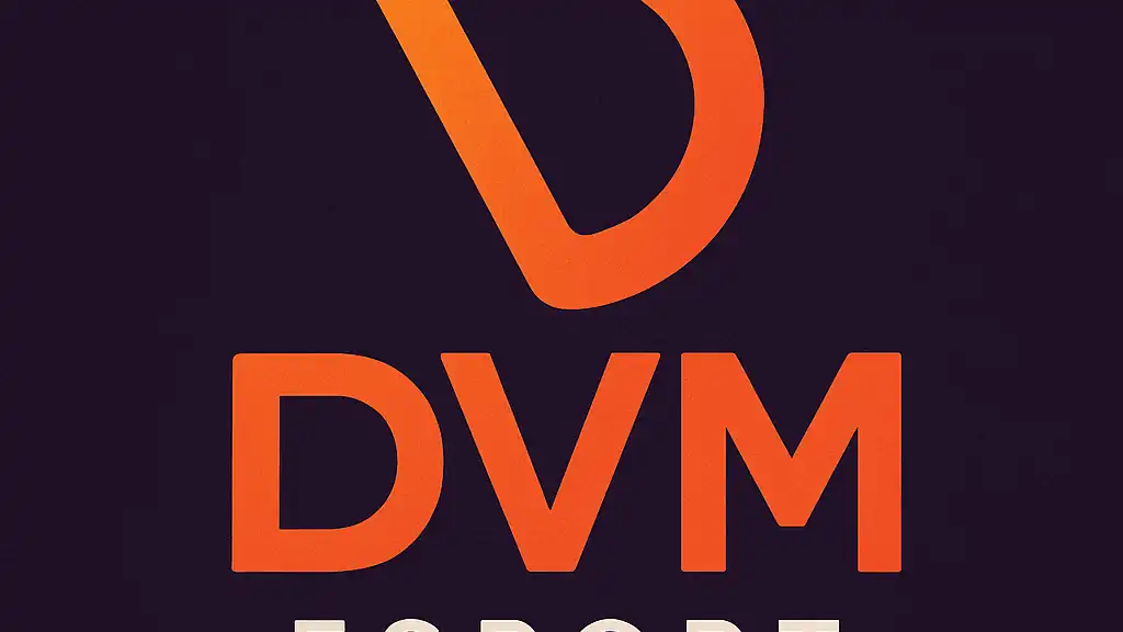 Logo officiel horizontal de DVM Esport, structure française Valorant sur fond violet